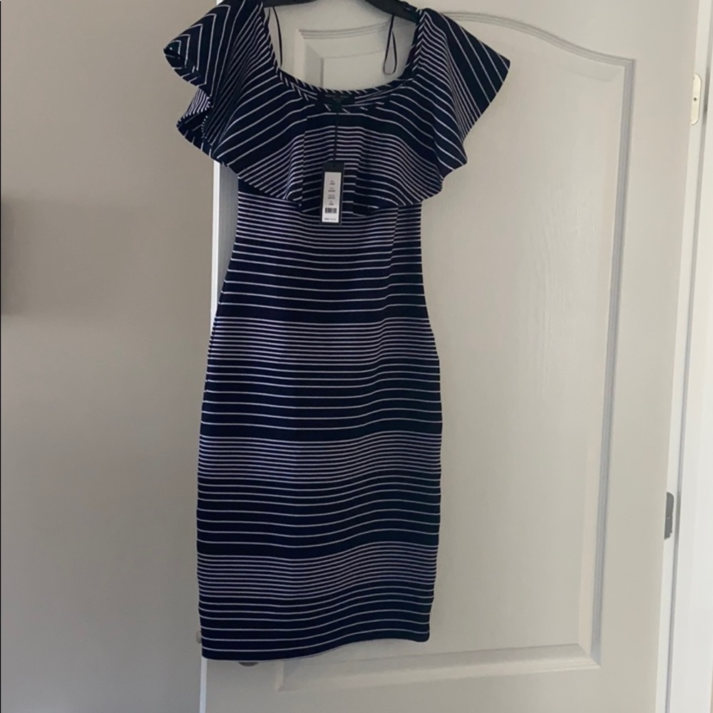 Romeo and Juliet Couture Dress